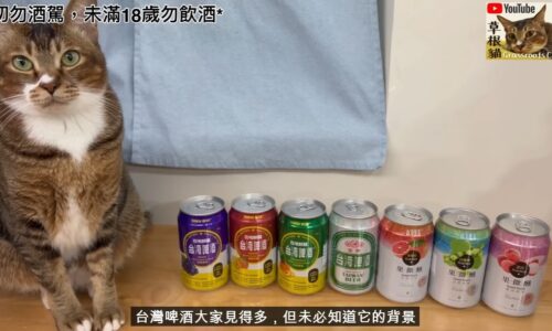YOUTUBER影片合作-草根貓Grassroots Cat